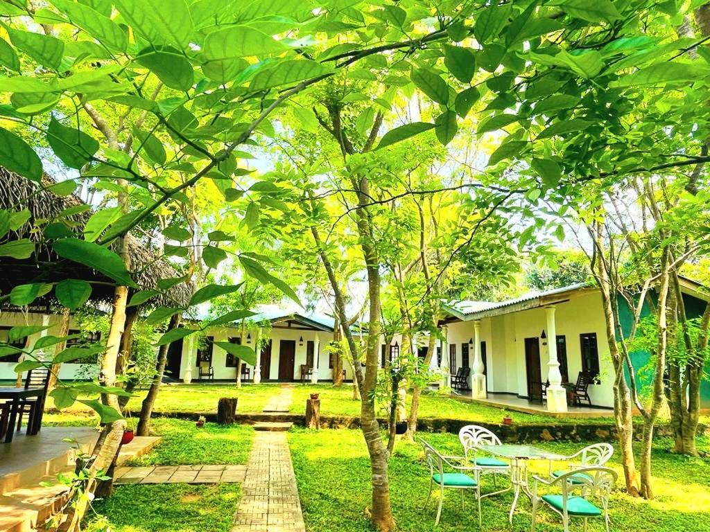 Kingfisher Resort 시기리야 외부 사진