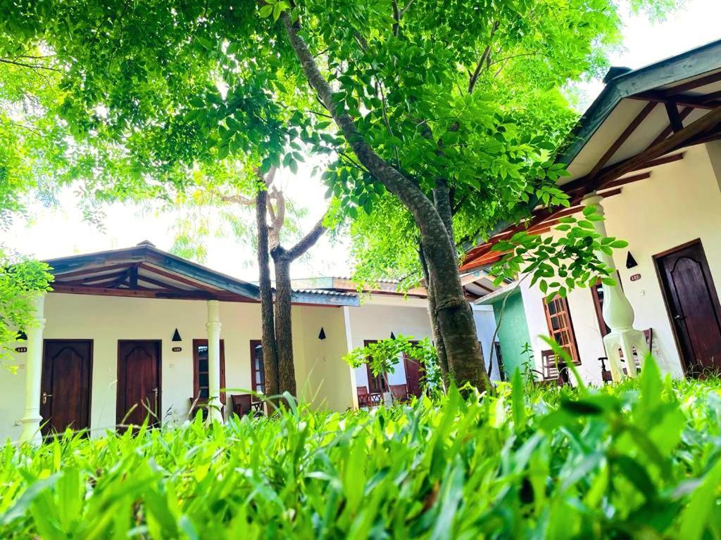 Kingfisher Resort 시기리야 외부 사진